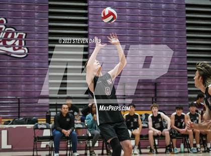 Thumbnail 2 in Basha @ Hamilton photogallery.