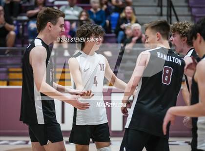 Thumbnail 1 in Basha @ Hamilton photogallery.