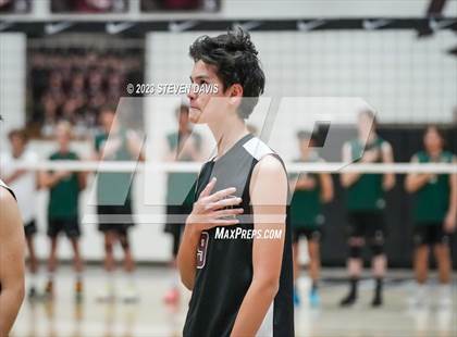 Thumbnail 2 in Basha @ Hamilton photogallery.