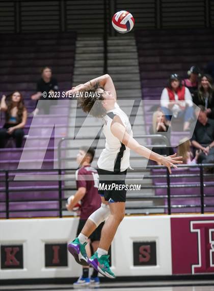 Thumbnail 2 in Basha @ Hamilton photogallery.