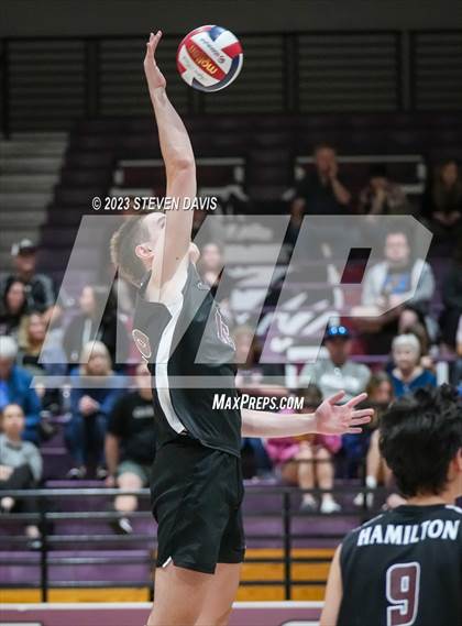 Thumbnail 3 in Basha @ Hamilton photogallery.