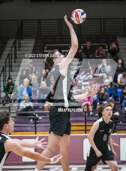 Thumbnail 2 in Basha @ Hamilton photogallery.