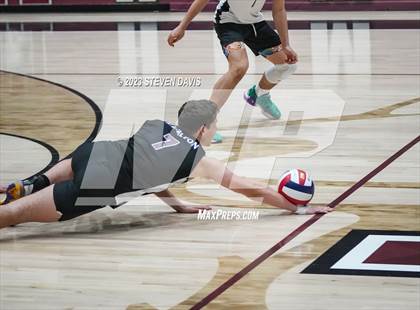 Thumbnail 3 in Basha @ Hamilton photogallery.