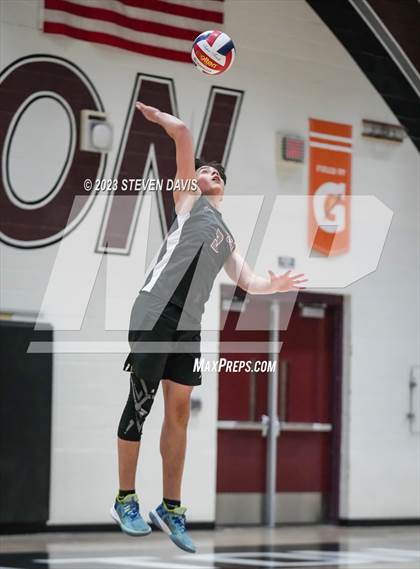 Thumbnail 1 in Basha @ Hamilton photogallery.