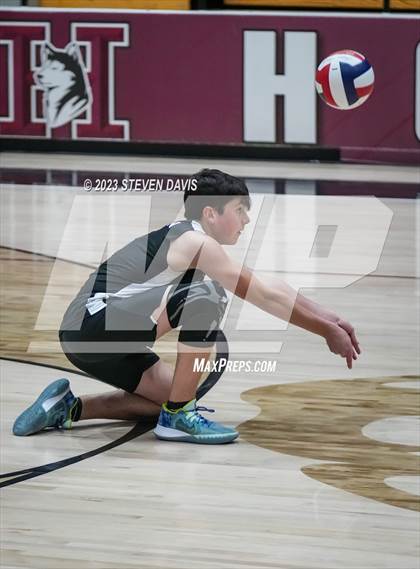 Thumbnail 2 in Basha @ Hamilton photogallery.