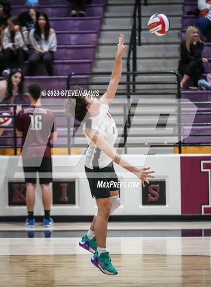 Thumbnail 2 in Basha @ Hamilton photogallery.