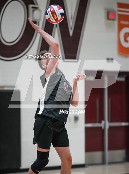 Thumbnail 2 in Basha @ Hamilton photogallery.