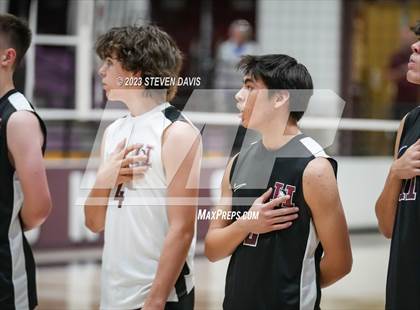 Thumbnail 3 in Basha @ Hamilton photogallery.