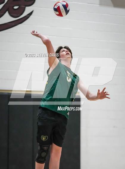 Thumbnail 3 in Basha @ Hamilton photogallery.