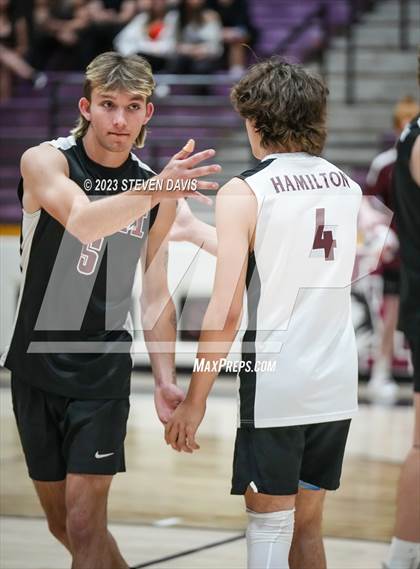 Thumbnail 3 in Basha @ Hamilton photogallery.