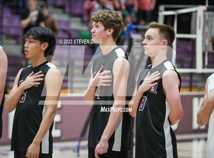 Thumbnail 2 in Basha @ Hamilton photogallery.