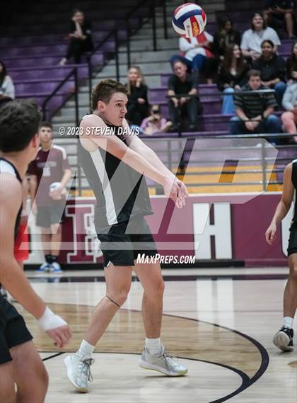 Thumbnail 2 in Basha @ Hamilton photogallery.