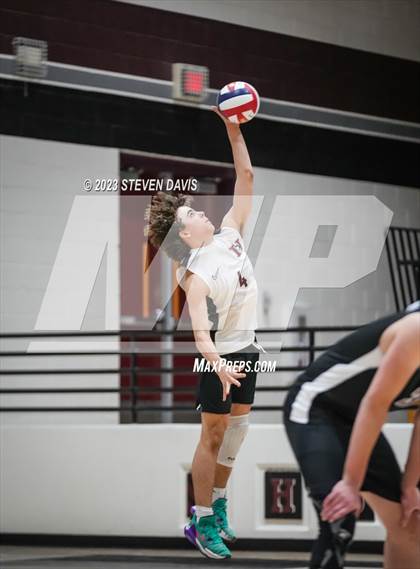Thumbnail 1 in Basha @ Hamilton photogallery.