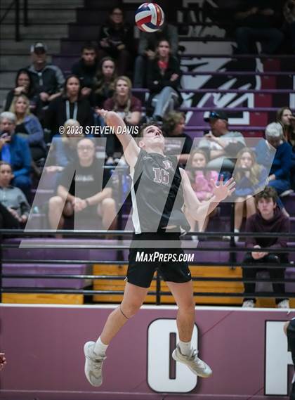 Thumbnail 3 in Basha @ Hamilton photogallery.