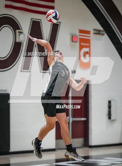 Thumbnail 1 in Basha @ Hamilton photogallery.