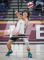 Photo from the gallery "Basha @ Hamilton"