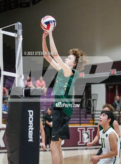 Thumbnail 3 in Basha @ Hamilton photogallery.