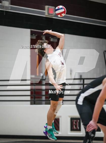 Thumbnail 3 in Basha @ Hamilton photogallery.