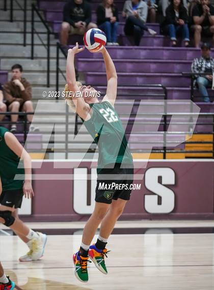 Thumbnail 3 in Basha @ Hamilton photogallery.
