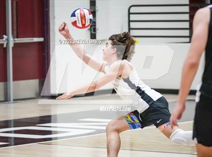 Thumbnail 3 in Basha @ Hamilton photogallery.