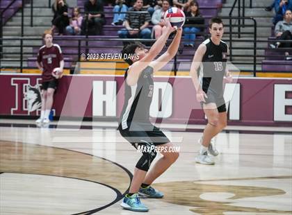 Thumbnail 1 in Basha @ Hamilton photogallery.