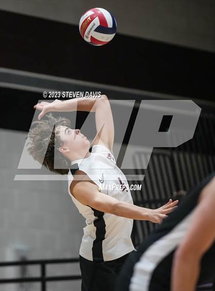Thumbnail 2 in Basha @ Hamilton photogallery.