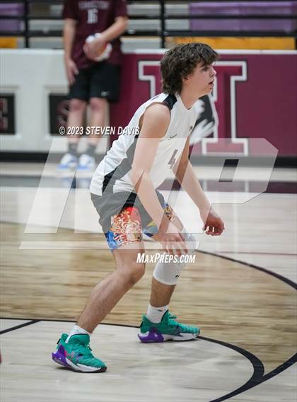 Thumbnail 2 in Basha @ Hamilton photogallery.