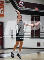 Photo from the gallery "Basha @ Hamilton"