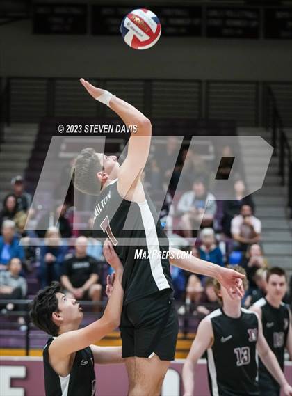 Thumbnail 1 in Basha @ Hamilton photogallery.