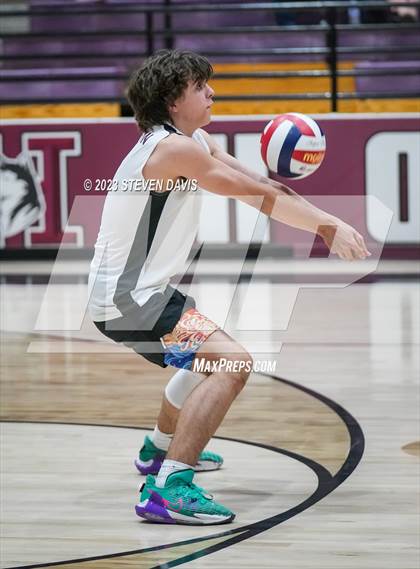 Thumbnail 3 in Basha @ Hamilton photogallery.