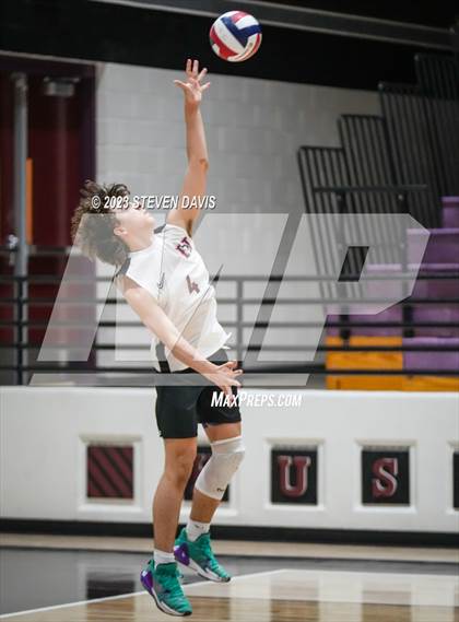 Thumbnail 3 in Basha @ Hamilton photogallery.