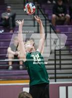 Photo from the gallery "Basha @ Hamilton"