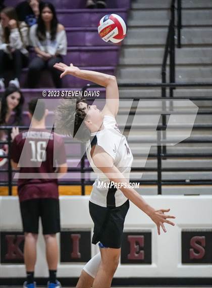 Thumbnail 1 in Basha @ Hamilton photogallery.