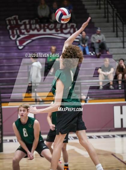 Thumbnail 2 in Basha @ Hamilton photogallery.