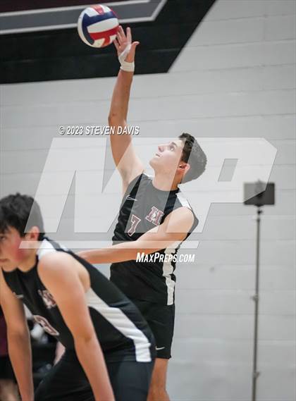 Thumbnail 1 in Basha @ Hamilton photogallery.