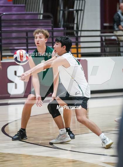 Thumbnail 1 in Basha @ Hamilton photogallery.