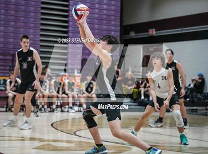Thumbnail 2 in Basha @ Hamilton photogallery.
