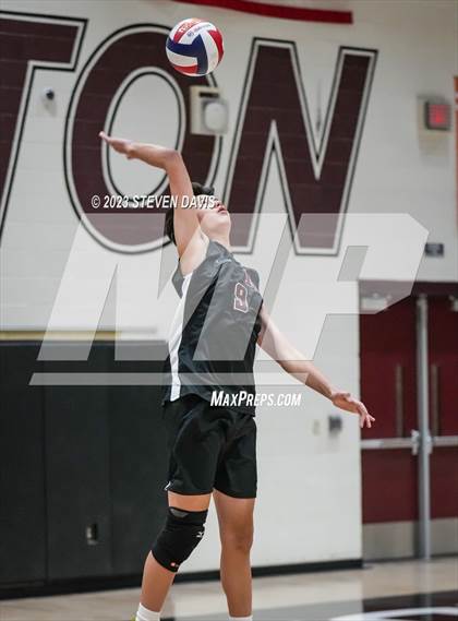 Thumbnail 1 in Basha @ Hamilton photogallery.
