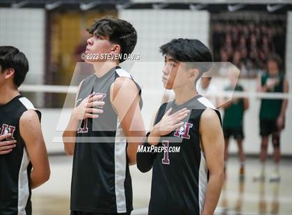 Thumbnail 1 in Basha @ Hamilton photogallery.