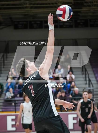 Thumbnail 1 in Basha @ Hamilton photogallery.