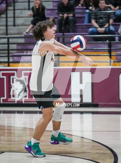 Thumbnail 3 in Basha @ Hamilton photogallery.