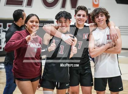 Thumbnail 3 in Basha @ Hamilton photogallery.