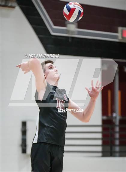 Thumbnail 2 in Basha @ Hamilton photogallery.