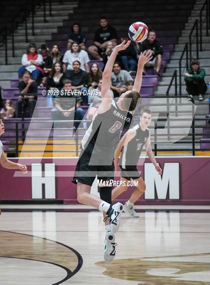 Thumbnail 3 in Basha @ Hamilton photogallery.
