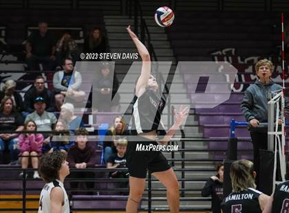Thumbnail 2 in Basha @ Hamilton photogallery.