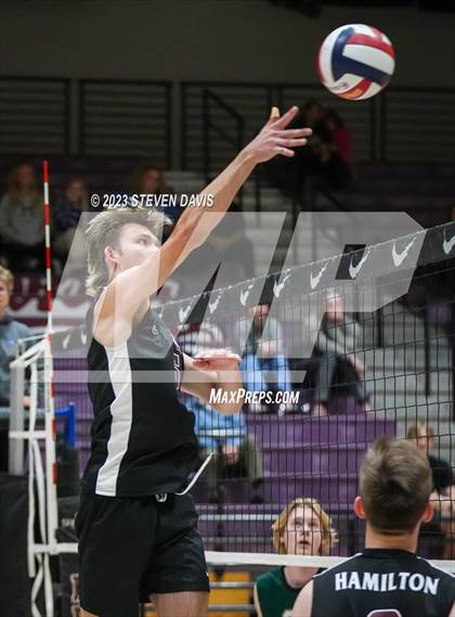 Thumbnail 3 in Basha @ Hamilton photogallery.
