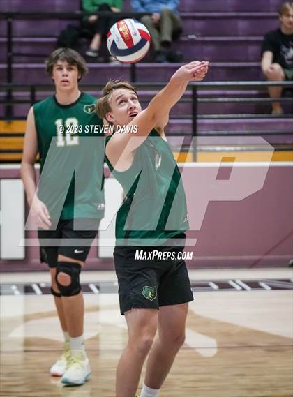 Thumbnail 3 in Basha @ Hamilton photogallery.