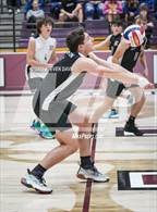 Photo from the gallery "Basha @ Hamilton"