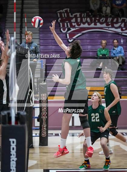 Thumbnail 2 in Basha @ Hamilton photogallery.