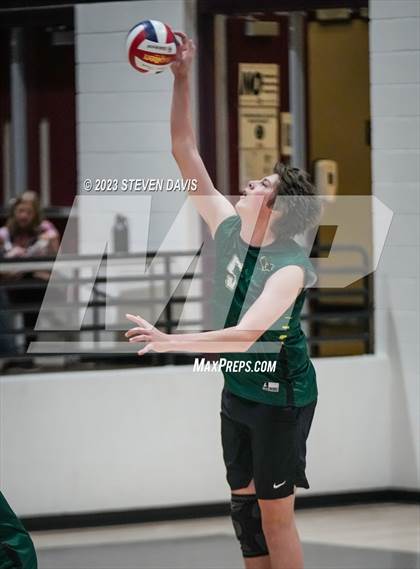 Thumbnail 1 in Basha @ Hamilton photogallery.